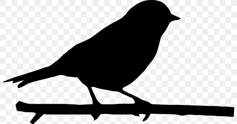 Bird Silhouette, PNG, 800x429px, Bird, Beak, Black And White, Branch, Crow Download Free