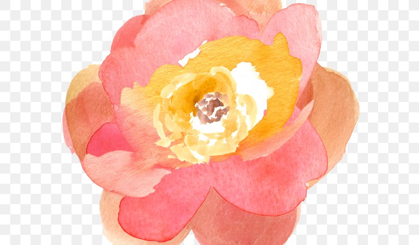 Clip Art Watercolor: Flowers Floral Bouquets Watercolor Painting, PNG, 640x480px, Watercolor Flowers, Artificial Flower, Begonia, Cut Flowers, Drawing Download Free