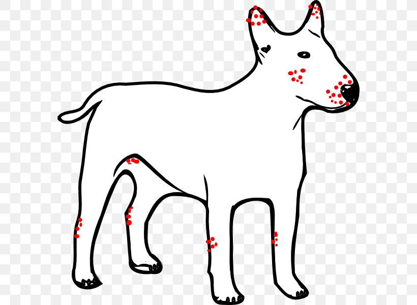 Dogo Argentino Great Dane Puppy Kong Company Clip Art, PNG, 594x600px, Dogo Argentino, Animal, Animal Figure, Artwork, Black And White Download Free