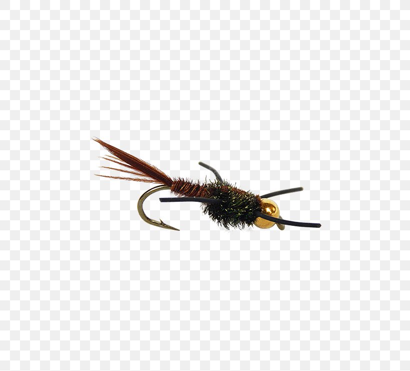 Fly Fishing Pheasant Tail Nymph Insect, PNG, 555x741px, 30 January, Fly, Artificial Fly, Email, Fly Fishing Download Free