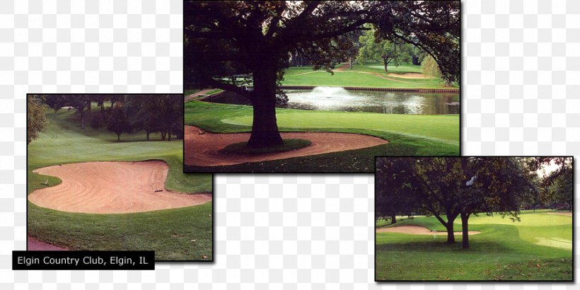 Lawn Tree Golf Course, PNG, 900x450px, Lawn, Golf, Golf Club, Golf Course, Grass Download Free