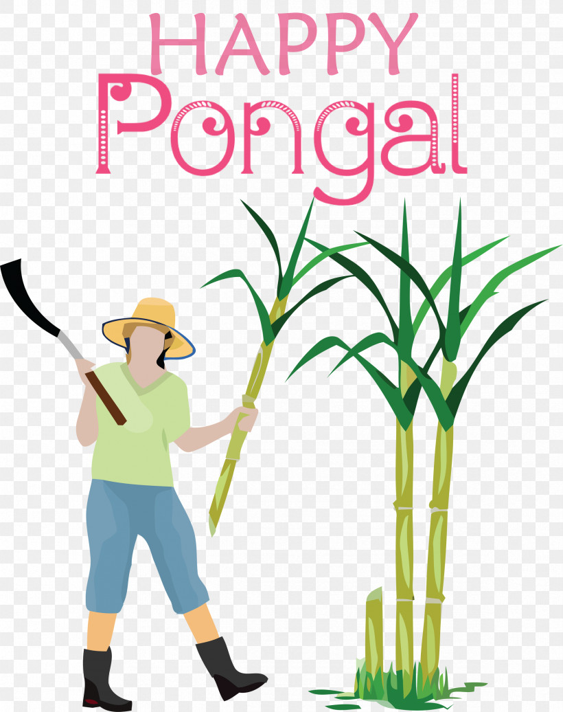 Pongal Happy Pongal, PNG, 2373x3000px, Pongal, Cartoon, Happy Pongal, Royaltyfree, Sugarcane Download Free