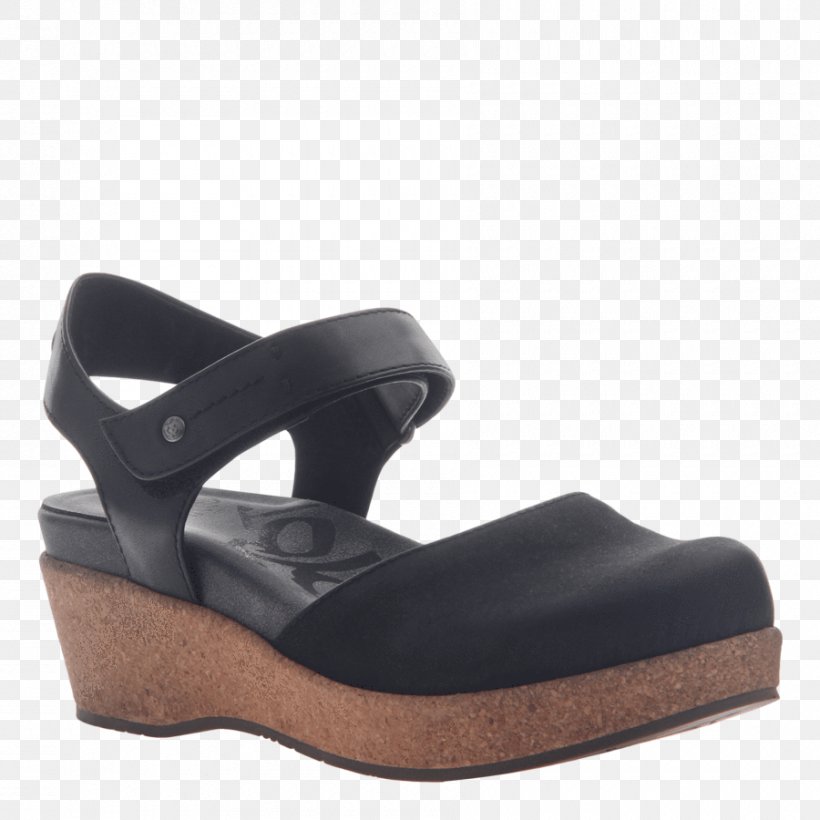 Shoe Sandal Boot Wedge Footwear, PNG, 900x900px, Shoe, Ballet Flat, Basic Pump, Black, Boot Download Free