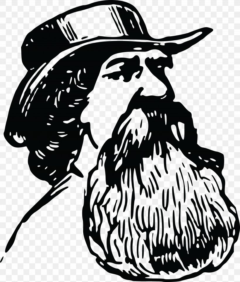 Beard Clip Art, PNG, 4000x4707px, Beard, Art, Artwork, Beak, Bird Download Free