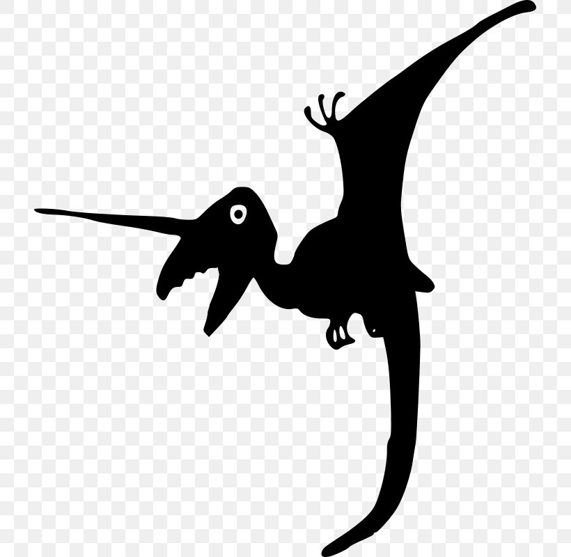 Dinosaur Ceratopsia Pterosaurs Pterodactyls, PNG, 721x800px, Dinosaur, Beak, Bird, Black And White, Ceratopsia Download Free