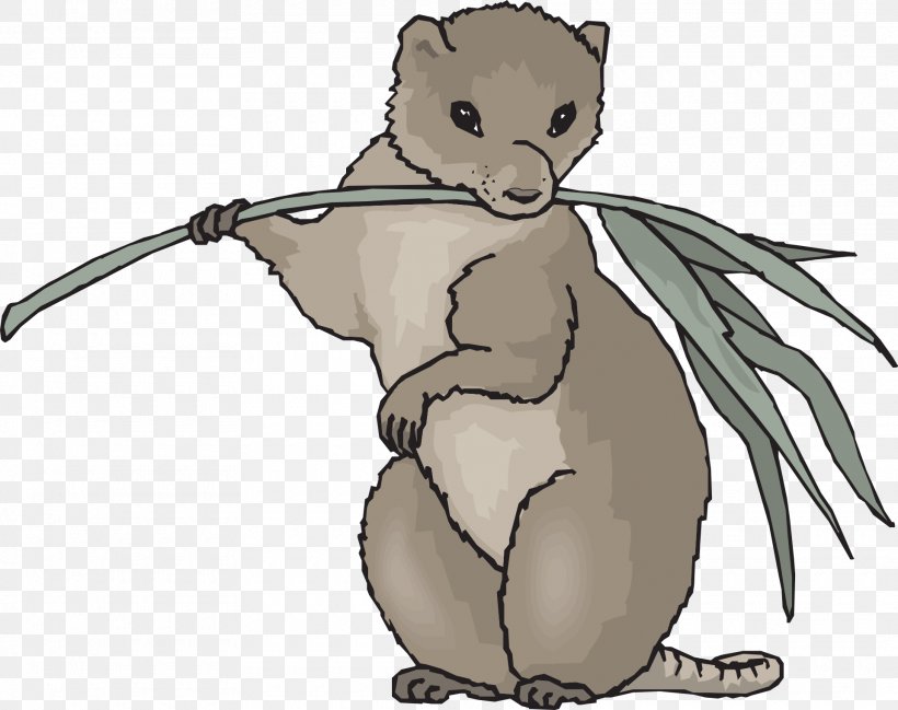 Eating Coypu Plant Food Clip Art, PNG, 1920x1520px, Eating, Animal, Bear, Beaver, Carnivoran Download Free