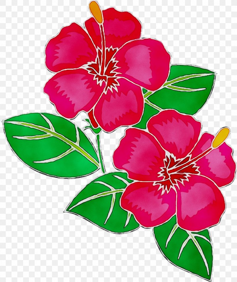 Floral Design Mallows Cut Flowers, PNG, 1016x1210px, Floral Design, Botany, Cut Flowers, Family M Invest Doo, Flower Download Free
