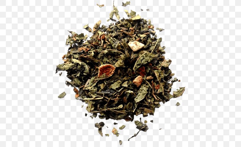 Hōjicha Green Tea Oolong Nilgiri Tea, PNG, 500x500px, Hojicha, Assam Tea, Bai Mudan, Bancha, Black Tea Download Free