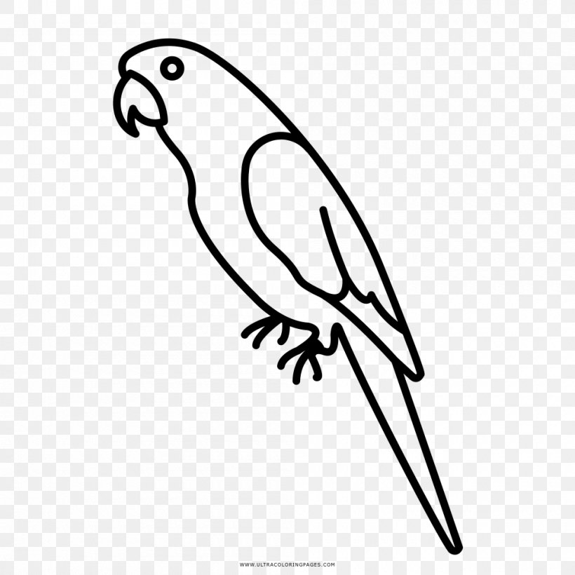 Macaw Amazon Parrot Parrots Drawing Coloring Book, PNG, 1000x1000px ...