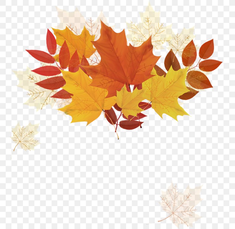 Autumn Leaf Color, PNG, 752x800px, Autumn, Art, Autumn Leaf Color, Flower, Flowering Plant Download Free