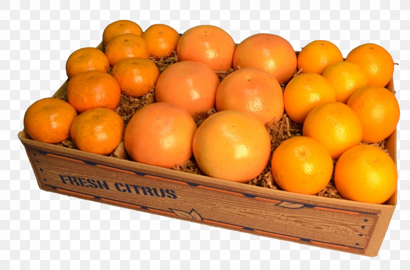 Clementine Tangerine Mandarin Orange Tangelo Grapefruit, PNG, 2522x1663px, Clementine, Bitter Orange, Citrus, Food, Food Gift Baskets Download Free