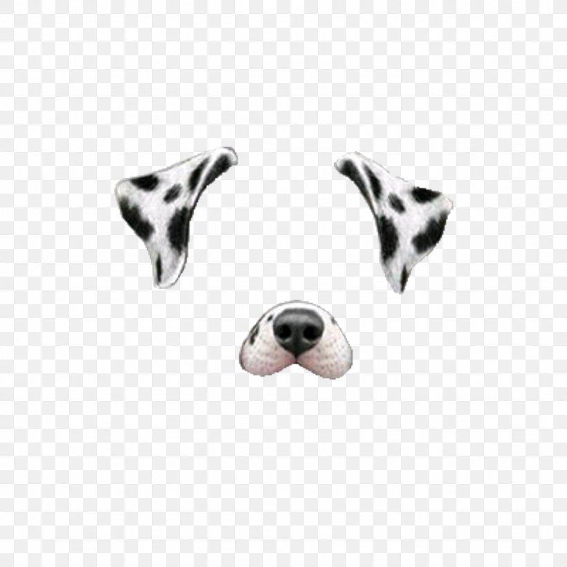 Dalmatian Dog Miniature Schnauzer Snapchat Clip Art, PNG, 1024x1024px, Dalmatian Dog, Body Jewelry, Carnivoran, Dalmatian, Display Resolution Download Free