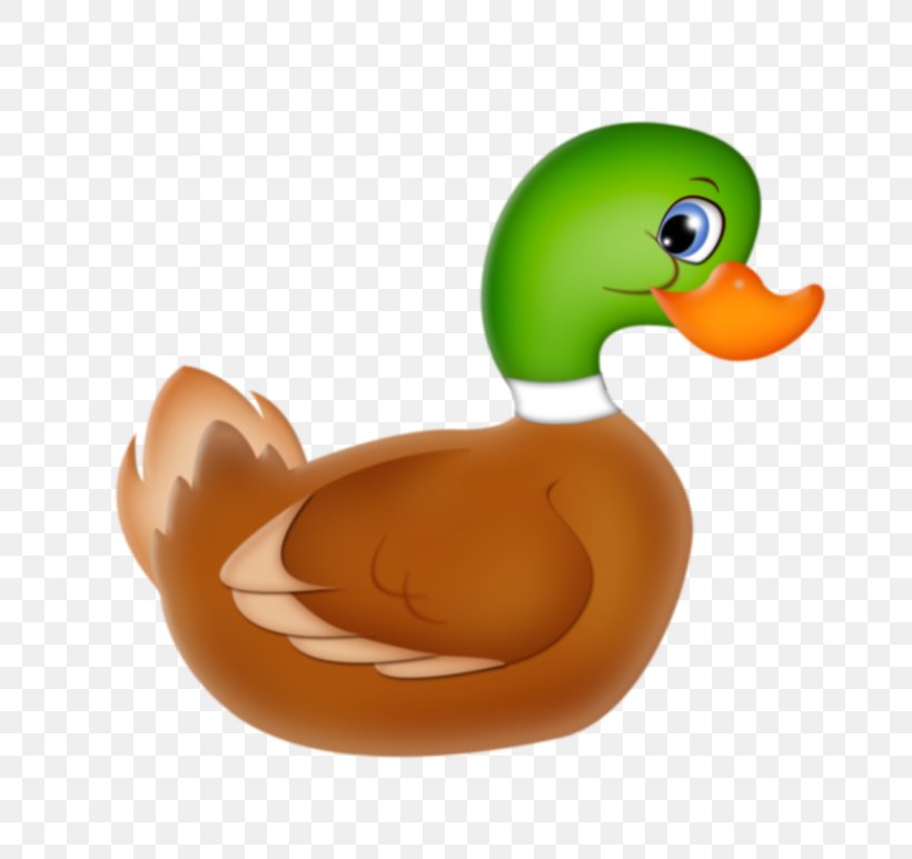 Duck Mallard Drawing Home Page Clip Art, PNG, 800x773px, Duck, Animation, Beak, Bird, Cartoon Download Free