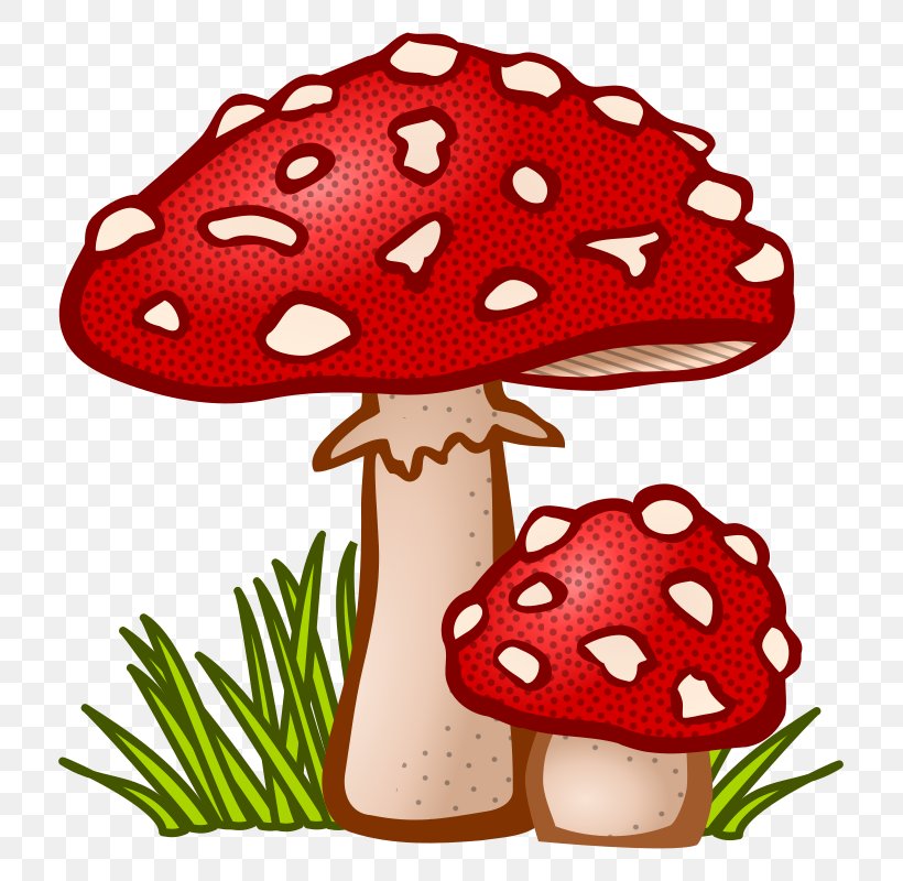 Mushroom Fungus Amanita Muscaria Clip Art, PNG, 775x800px, Mushroom, Amanita Muscaria, Cartoon, Common Mushroom, Drawing Download Free