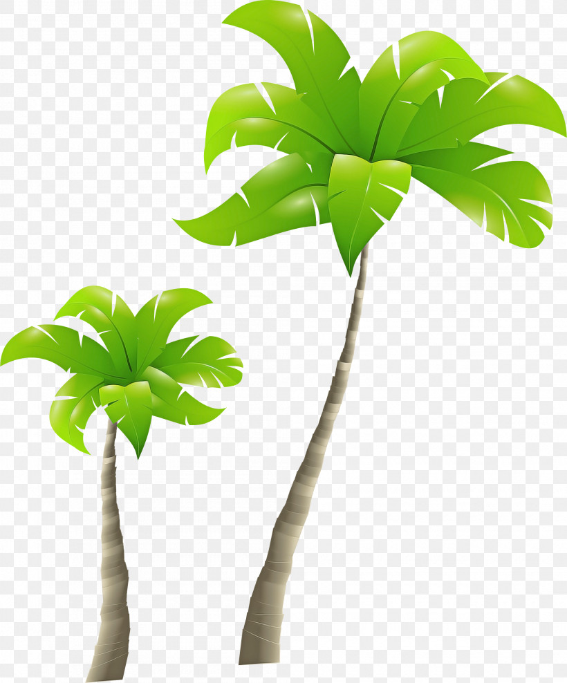 Palm Tree, PNG, 1990x2400px, Plant, Arecales, Flower, Flowerpot, Green Download Free