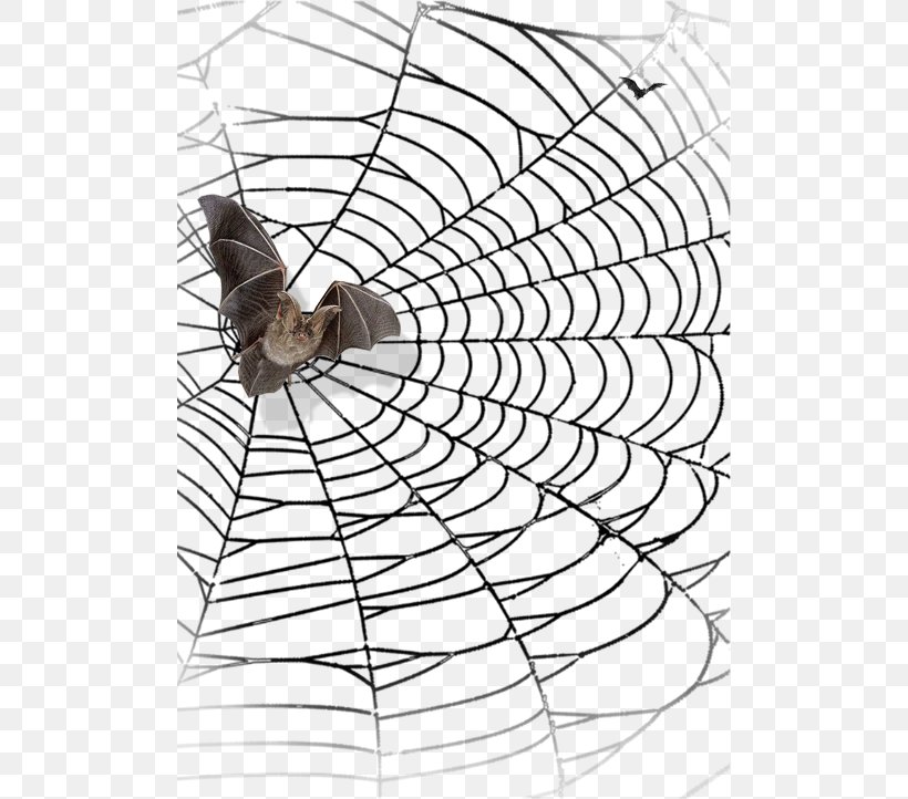 Spider Web Spider-Man Bat Halloween, PNG, 500x722px, Spider Web, Arachnid, Area, Bat, Black And White Download Free