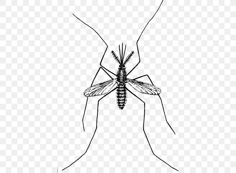 Clip Art, PNG, 420x600px, Marsh Mosquitoes, Arthropod, Artwork, Black And White, Fly Download Free