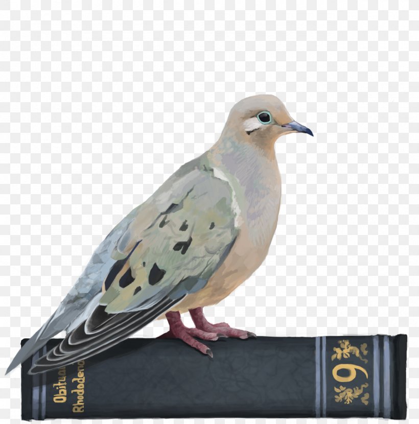 Hatoful Boyfriend Homing Pigeon English Carrier Pigeon Stock Dove Killing Stalking, PNG, 1280x1296px, Hatoful Boyfriend, Art, Beak, Bird, Blog Download Free