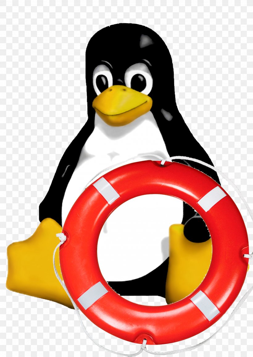 Linux Kernel Mobile Operating System Android Operating Systems, PNG, 2480x3508px, Linux, Android, Beak, Bird, Blackfin Download Free