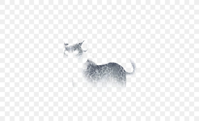 Whiskers Kitten Dog White Snout, PNG, 640x500px, Whiskers, Black, Black And White, Carnivoran, Cat Download Free