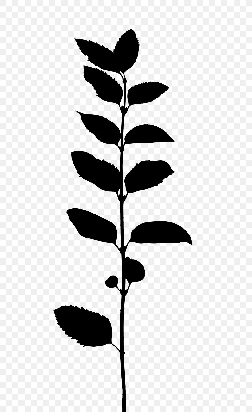 Flower Plant Stem Leaf Line Silhouette, PNG, 552x1339px, Flower, Blackandwhite, Botany, Branch, Flowering Plant Download Free