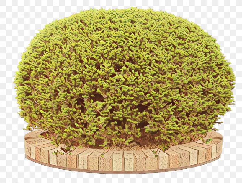 Green Grass Plant Leaf Tree, PNG, 1600x1207px, Cartoon, Grass, Green, Leaf, Moss Download Free