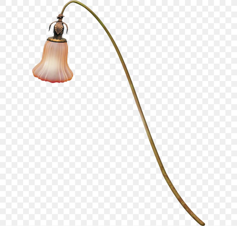 Lighting Lantern Lamp, PNG, 600x781px, Light, Aesthetics, Female, Halo, Lamp Download Free
