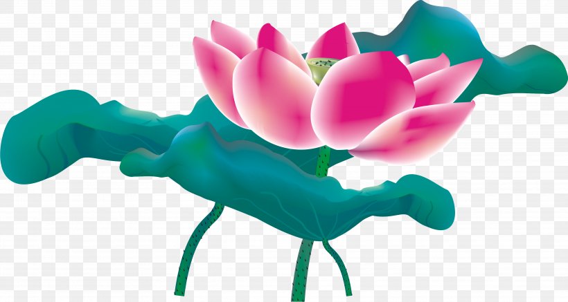 Nelumbo Nucifera China Leaf Lotus Effect, PNG, 3737x1994px, Nelumbo Nucifera, China, Flower, Flowering Plant, Green Download Free