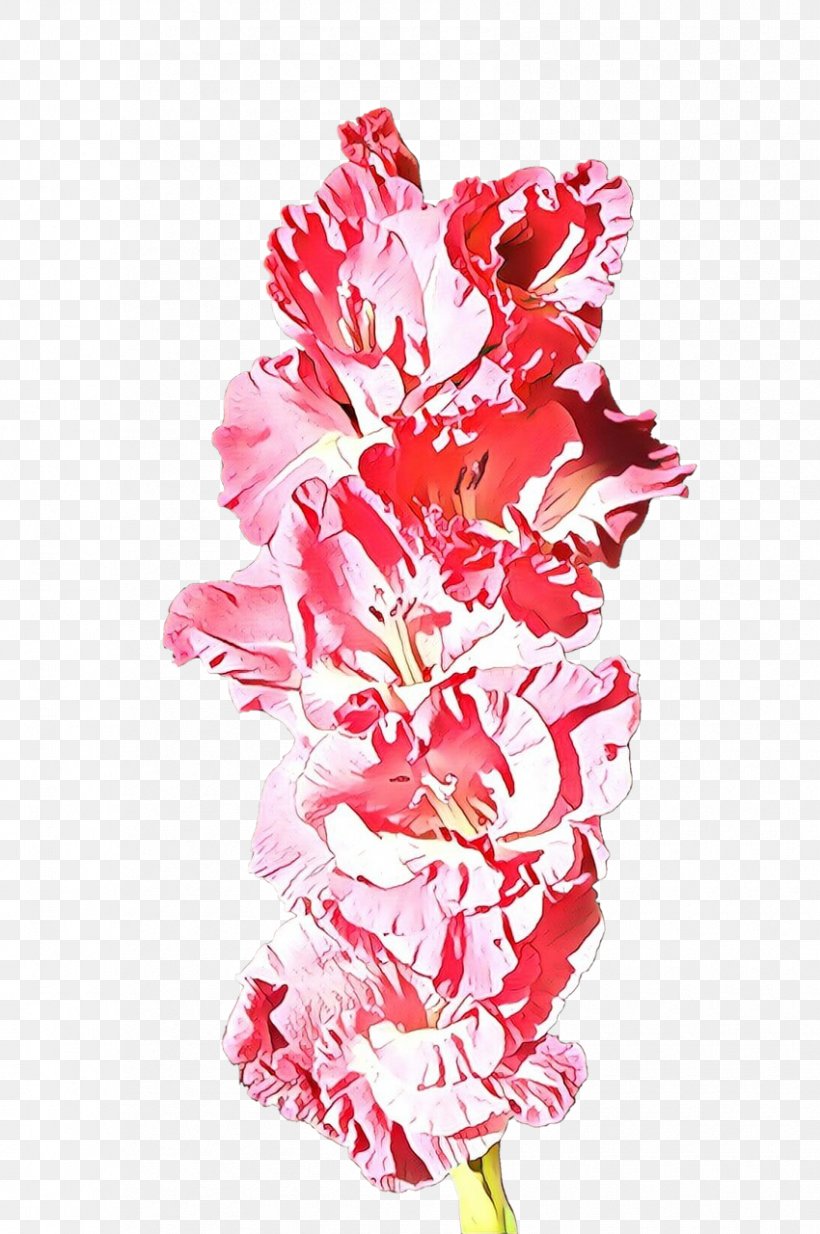 Pink Cut Flowers Flower Plant Gladiolus, PNG, 850x1280px, Cartoon, Cut Flowers, Flower, Flowering Plant, Gladiolus Download Free