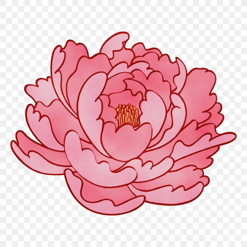 Pink Petal Flower Plant Flowering Plant, PNG, 1200x1200px, Watercolor, Aquatic Plant, Flower, Flowering Plant, Magenta Download Free