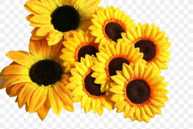 Vase With Three Sunflowers Paper Common Sunflower, PNG, 1024x683px, Vase With Three Sunflowers, Color, Common Sunflower, Cotyledon, Cut Flowers Download Free