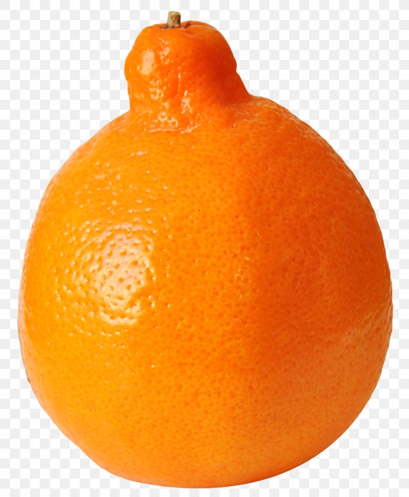 Clementine Tangelo Tangerine Ugli Fruit Rangpur, PNG, 1018x1238px, Clementine, Bitter Orange, Blood Orange, Citric Acid, Citrus Download Free