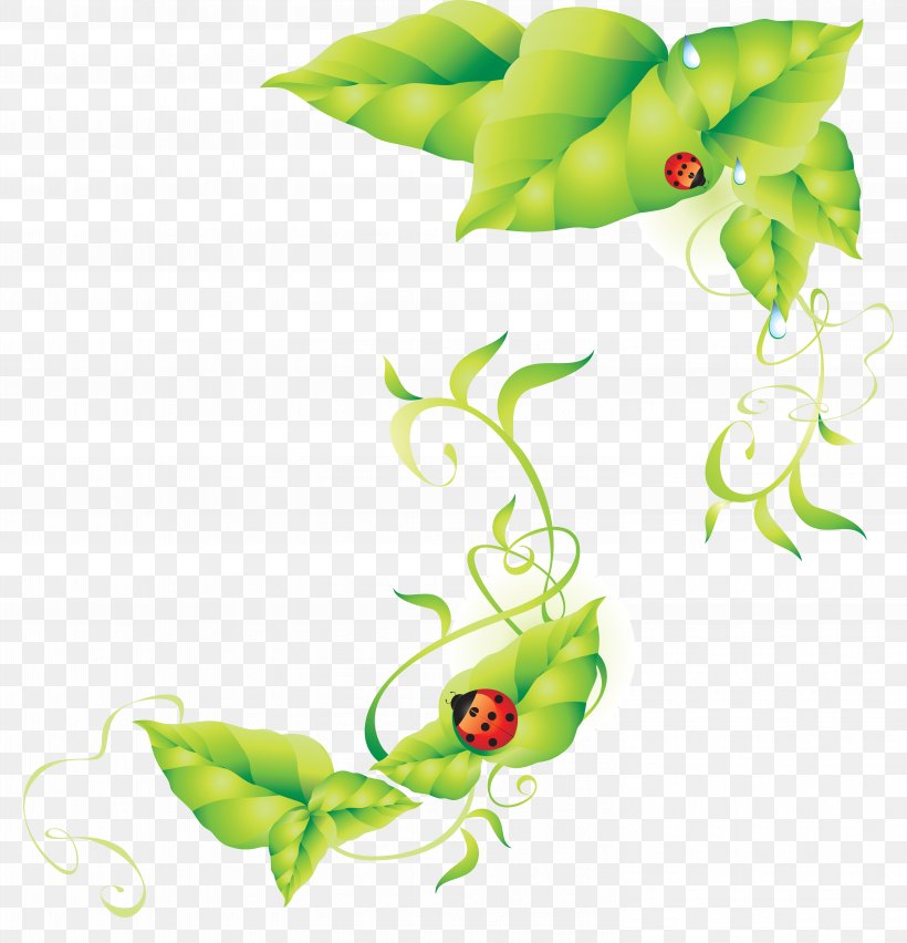 Coccinella Septempunctata Leaf Green, PNG, 5936x6172px, Coccinella Septempunctata, Branch, Coccinella, Flora, Flower Download Free
