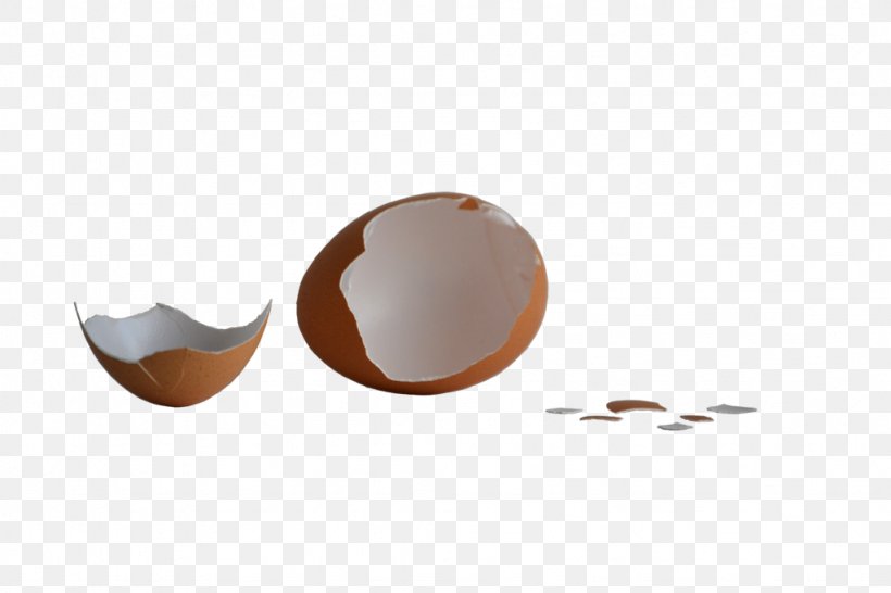 Eggshell Chicken Egg Information, PNG, 1024x683px, Eggshell, Brown, Chicken Egg, Coffee Cup, Cup Download Free