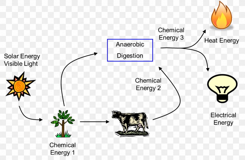 Energy Transformation Energy Flow Solar Energy Electrical Energy, PNG, 1473x962px, Energy Transformation, Area, Biomass, Chemical Energy, Communication Download Free