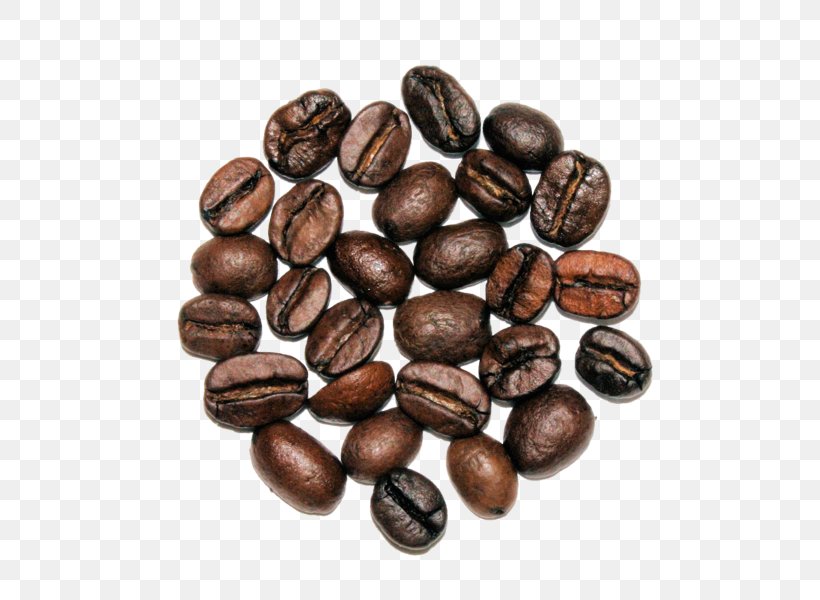 Jamaican Blue Mountain Coffee Cocoa Bean Brown Commodity Nut, PNG, 600x600px, Jamaican Blue Mountain Coffee, Bean, Brown, Cacao Tree, Chocolate Coated Peanut Download Free