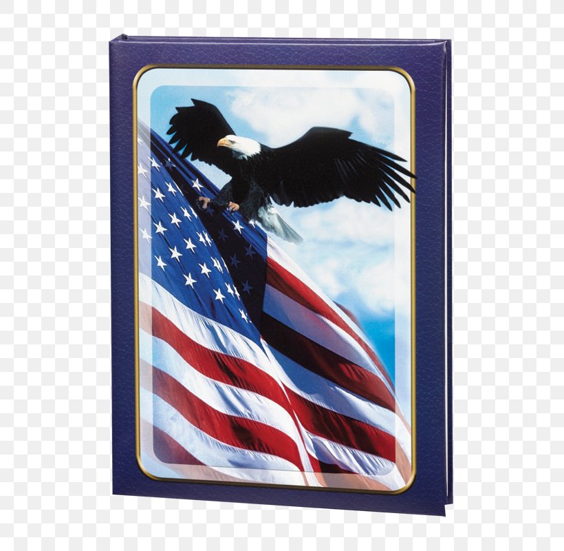 North Judson Cleveland Flag Of The United States Rectangle Obituary, PNG, 800x800px, Cleveland, Bird Of Prey, Com, Eagle, Flag Download Free
