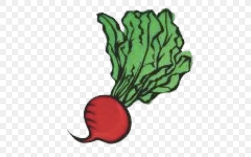 Vegetable Food Radish Cartoon, PNG, 512x512px, Vegetable, Cartoon, Flower, Flowering Plant, Food Download Free
