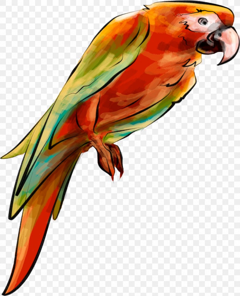 Bird Parrot Parakeet Clip Art, PNG, 830x1024px, Bird, Animal, Art, Beak, Common Pet Parakeet Download Free