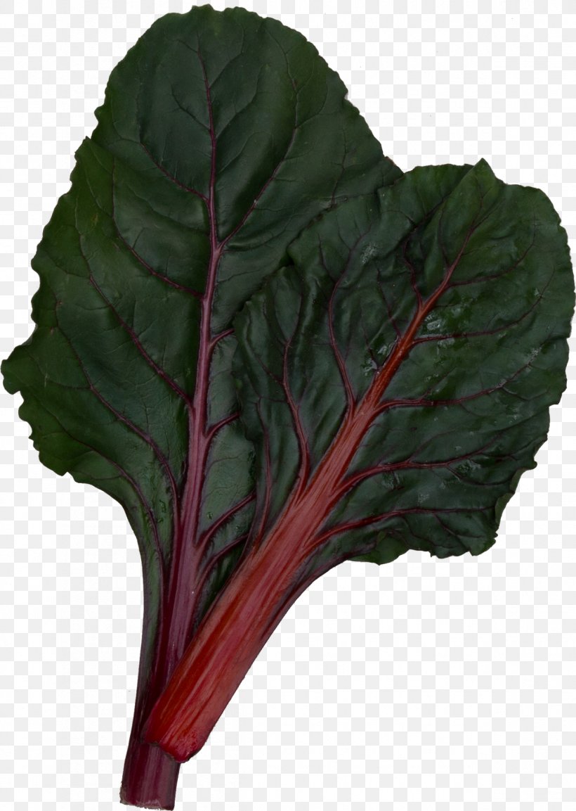 Chard Collard Greens Komatsuna Spring Greens, PNG, 1196x1682px, Chard, Beet Greens, Betacarotene, Cabbage, Carotene Download Free