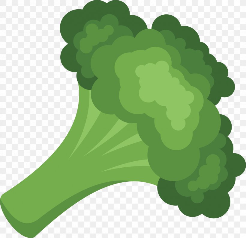Cream Of Broccoli Soup Vegetarian Cuisine Vegetable Vector Graphics, PNG, 2400x2328px, Broccoli, Broccoli Slaw, Cauliflower, Chinese Broccoli, Cream Of Broccoli Soup Download Free