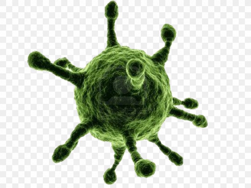 Virus Infection Bacteria Vector Organism, PNG, 1200x900px, Virus, Antiviral Drug, Bacteria, Chikungunya Virus Infection, Common Cold Download Free