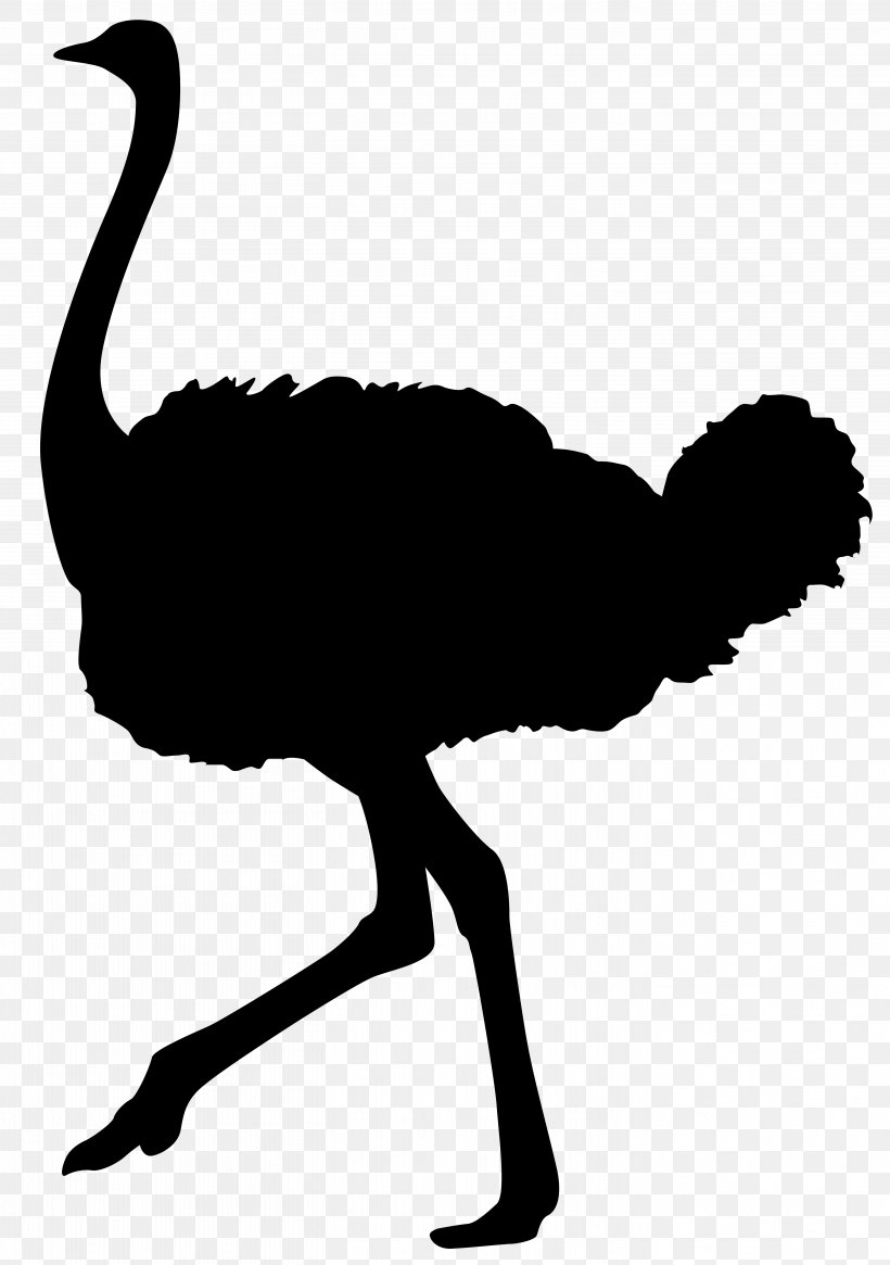 Common Ostrich Silhouette Bird Clip Art, PNG, 5629x8000px, Common Ostrich, Art, Beak, Bird, Black And White Download Free