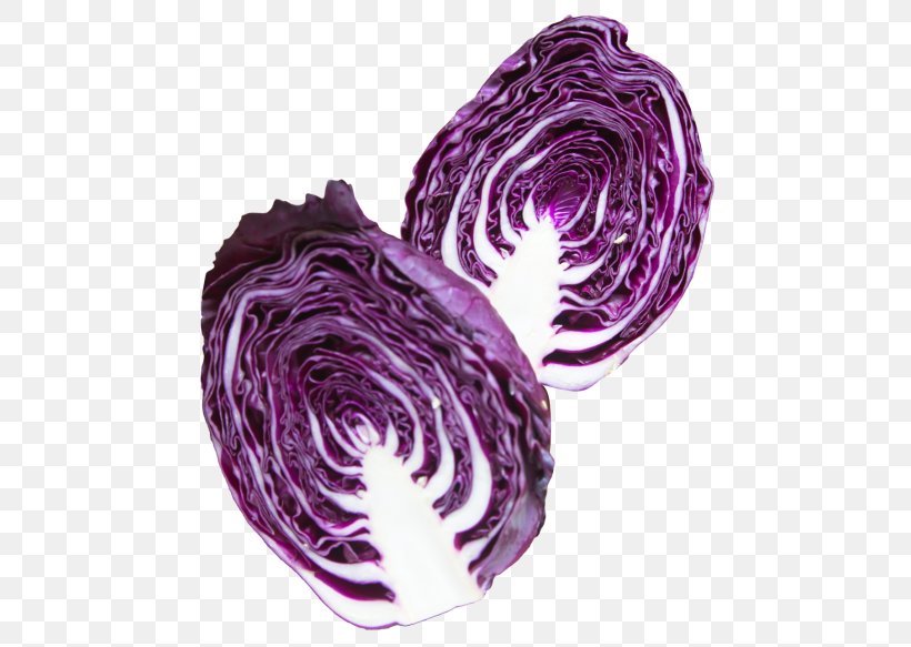 Red Cabbage Purple Vegetable Coleslaw, PNG, 500x583px, Cabbage, Brassica Oleracea, Chinese Cabbage, Coleslaw, Cooking Download Free