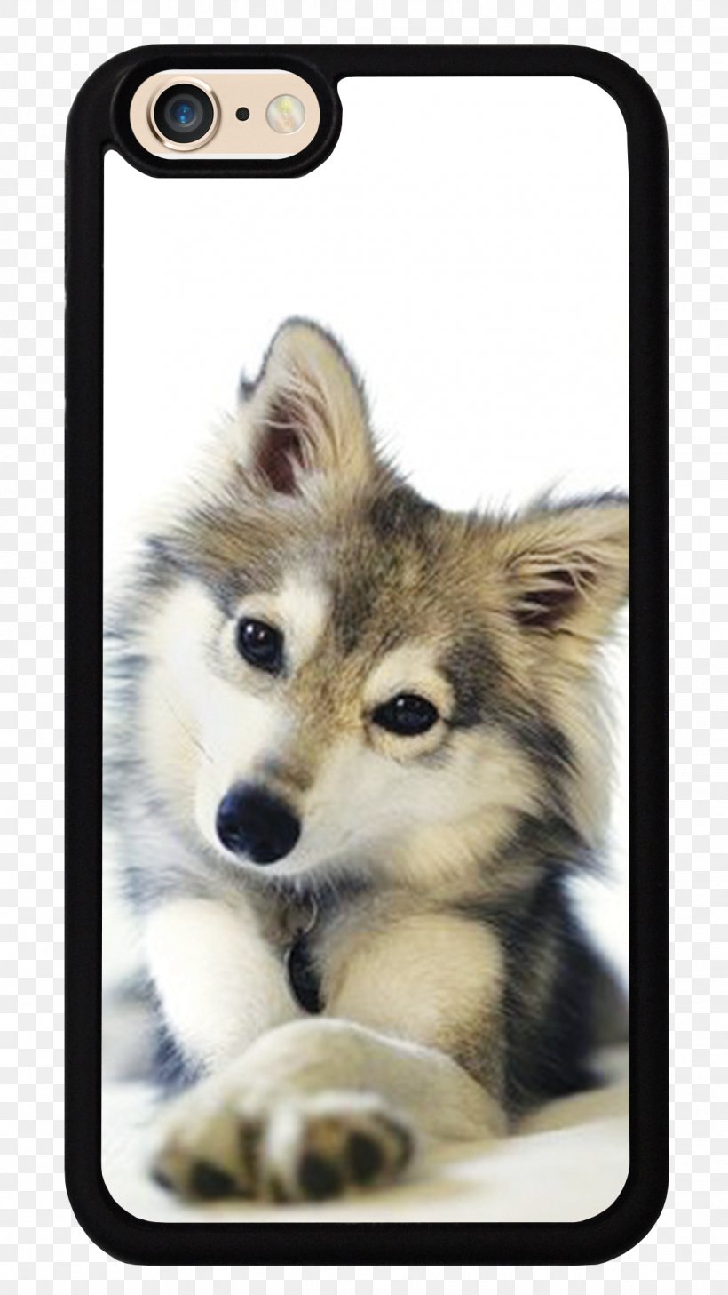 Siberian Husky Puppy Cat Kitten Alaskan Malamute, PNG, 1141x2028px, Siberian Husky, Alaskan Klee Kai, Alaskan Malamute, Animal, Black Wolf Download Free