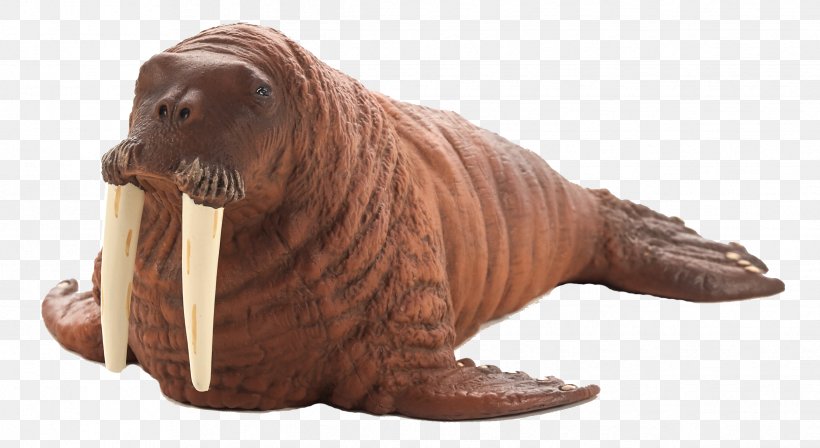 Walrus Dutch Warmblood Mustang Thoroughbred Elephant Seal, PNG, 2435x1331px, Walrus, Animal, Animal Figure, Dutch Warmblood, Earless Seal Download Free