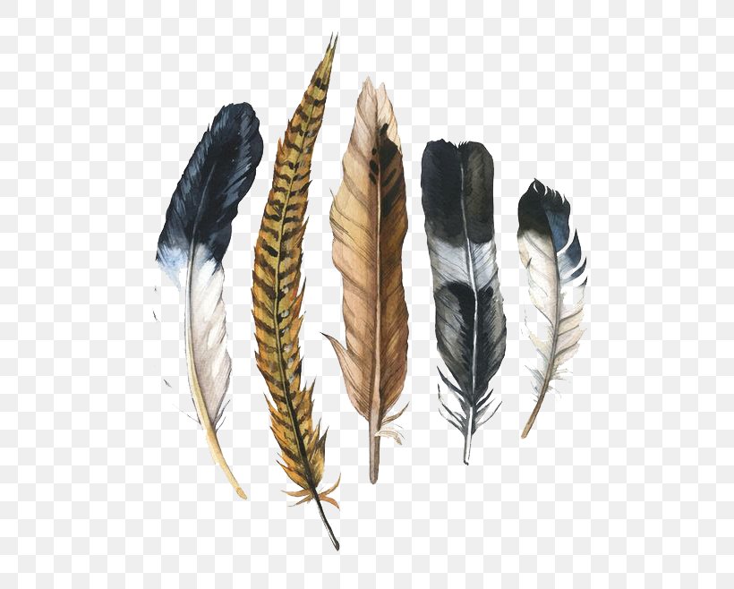 Watercolor Painting Feather Drawing Illustration, PNG, 658x658px, Watercolor Painting, Art, Drawing, Feather, Poster Download Free