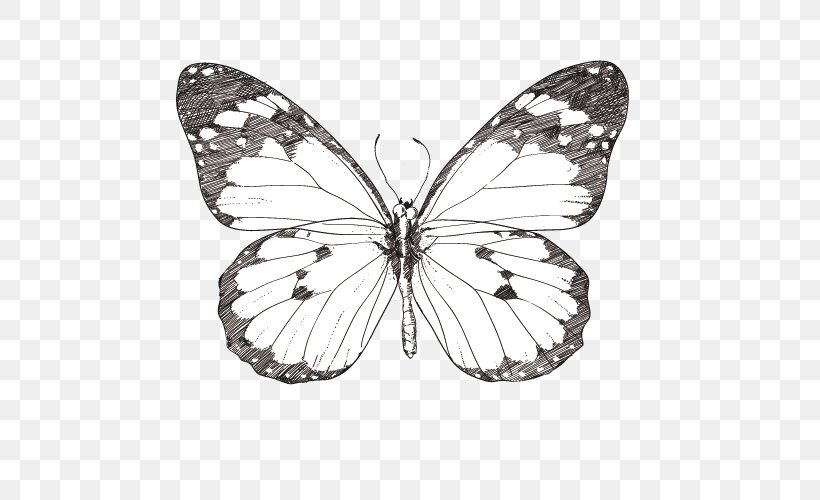 Monarch Butterfly Drawing Illustration, PNG, 500x500px, Butterfly, Animal, Art, Arthropod, Black And White Download Free