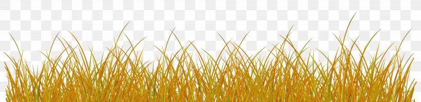 Autumn Wheat Clip Art Image, PNG, 8000x1952px, Autumn, Close Up, Commodity, Food, Food Grain Download Free