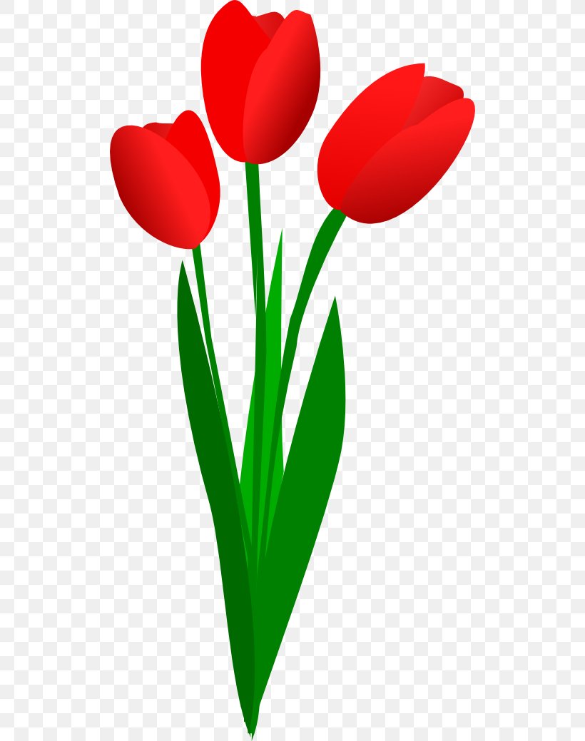 Tulip Flower Clip Art, PNG, 512x1039px, Tulip, Color, Digital Image, Flower, Flower Bouquet Download Free